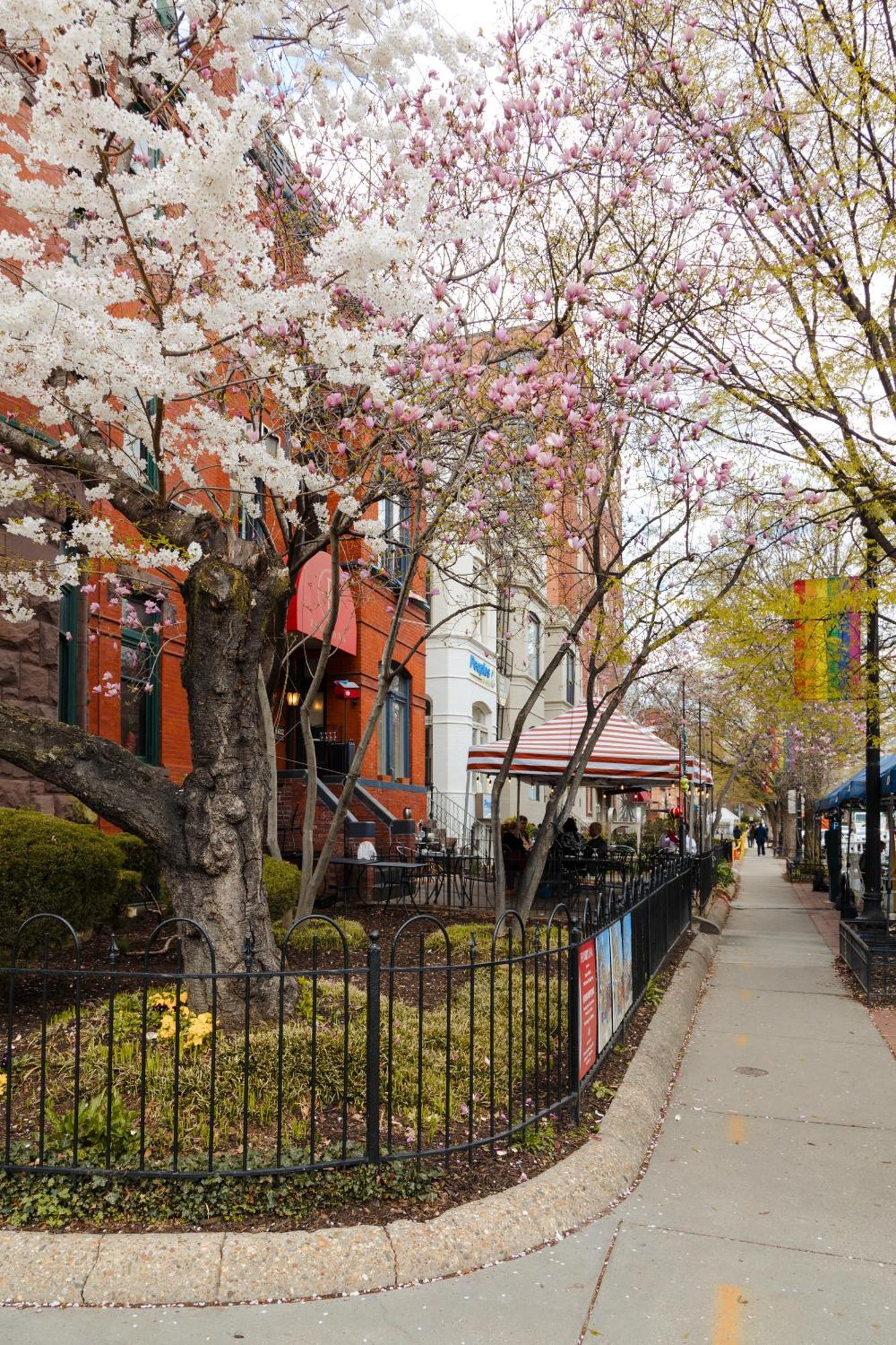 Dupont Circle Embassy Inn By Found Washington Bagian luar foto